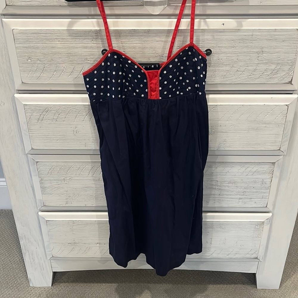 Anthropology Dress
